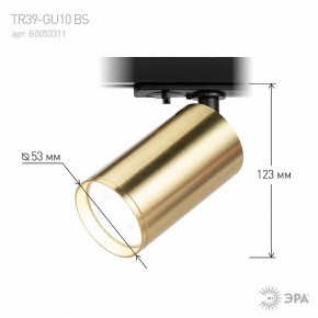 Светильник на штанге Эра  TR39-GU10 BS в Нытве - nytva.ok-mebel.com | фото 6