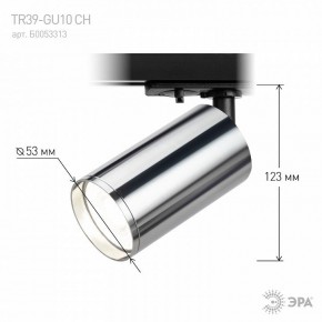 Светильник на штанге Эра  TR39-GU10 СН в Нытве - nytva.ok-mebel.com | фото 7