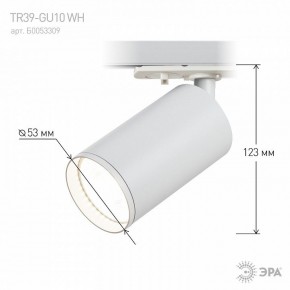 Светильник на штанге Эра  TR39-GU10 WH в Нытве - nytva.ok-mebel.com | фото 7
