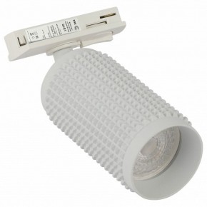 Светильник на штанге Эра  TR40-GU10 WH в Нытве - nytva.ok-mebel.com | фото