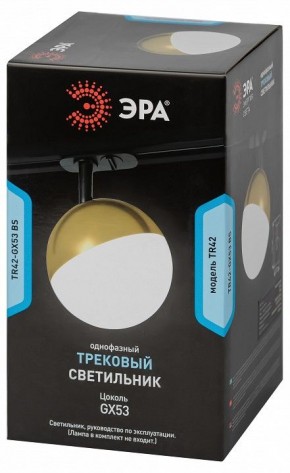 Светильник на штанге Эра  TR42-GX53 BS в Нытве - nytva.ok-mebel.com | фото 6