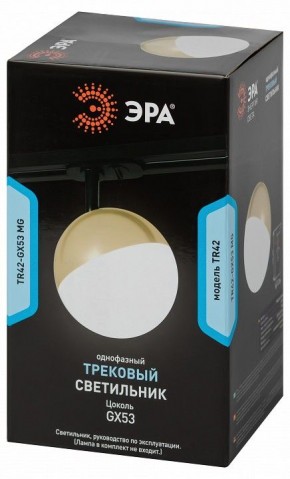Светильник на штанге Эра  TR42-GX53 MG в Нытве - nytva.ok-mebel.com | фото 6