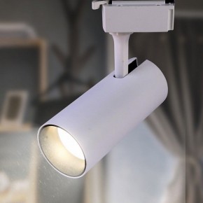Светильник на штанге Эра  TR5-10 COB WH в Нытве - nytva.ok-mebel.com | фото 3