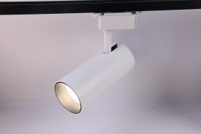 Светильник на штанге Эра  TR5-30 COB WH в Нытве - nytva.ok-mebel.com | фото 2