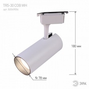 Светильник на штанге Эра  TR5-30 COB WH в Нытве - nytva.ok-mebel.com | фото 6