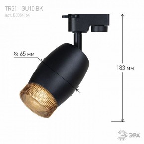 Светильник на штанге Эра  TR51 - GU10 BK в Нытве - nytva.ok-mebel.com | фото 4