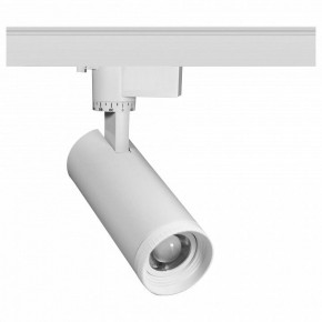 Светильник на штанге Эра  TR59 - 2030 WH в Нытве - nytva.ok-mebel.com | фото