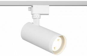 Светильник на штанге Эра  TR59 - 2040 WH в Нытве - nytva.ok-mebel.com | фото