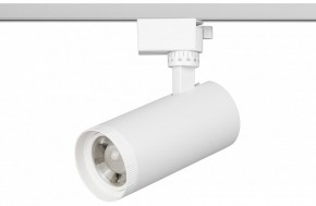 Светильник на штанге Эра  TR59 - 2040 WH в Нытве - nytva.ok-mebel.com | фото 2