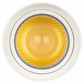 Светильник на штанге Эра  TR59 - 2040 WH в Нытве - nytva.ok-mebel.com | фото 3