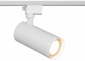 Светильник на штанге Эра  TR59 - 3030 WH в Нытве - nytva.ok-mebel.com | фото