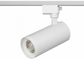 Светильник на штанге Эра  TR59 - 3030 WH в Нытве - nytva.ok-mebel.com | фото 2