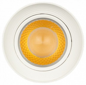 Светильник на штанге Эра  TR59 - 3030 WH в Нытве - nytva.ok-mebel.com | фото 3