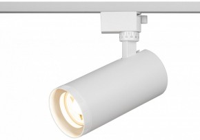 Светильник на штанге Эра  TR59 - 3030 WH в Нытве - nytva.ok-mebel.com | фото 5