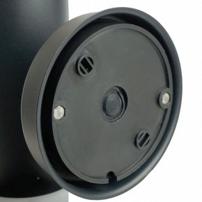 Светильник на штанге Feron DH041-B  RAL color 9005 51522 в Нытве - nytva.ok-mebel.com | фото 9