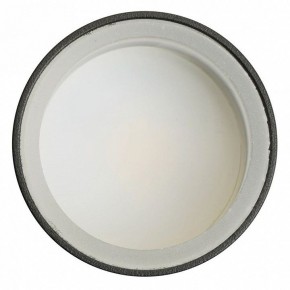 Светильник на штанге Feron ML1001 51371 в Нытве - nytva.ok-mebel.com | фото 4