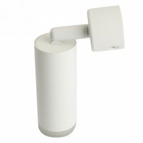 Светильник на штанге Feron ML1021 51390 в Нытве - nytva.ok-mebel.com | фото 3