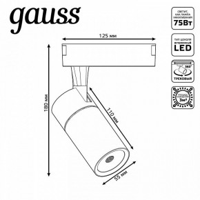 Светильник на штанге Gauss Track Light TR060 в Нытве - nytva.ok-mebel.com | фото 5