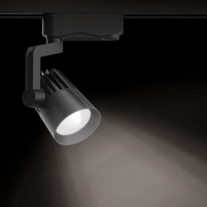 Светильник на штанге Gauss Track Light TR061 в Нытве - nytva.ok-mebel.com | фото 2