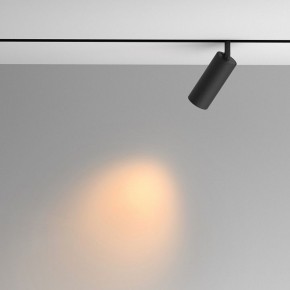 Светильник на штанге Maytoni Artisan TR097-2-12W2.7K-M-BB в Нытве - nytva.ok-mebel.com | фото 4