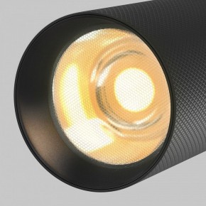 Светильник на штанге Maytoni Artisan TR097-2-12W2.7K-M-BB в Нытве - nytva.ok-mebel.com | фото 9