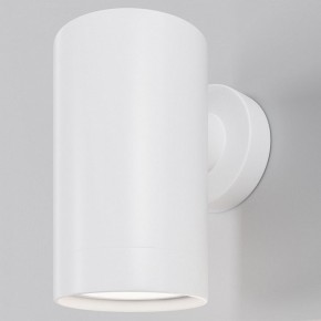 Светильник на штанге Maytoni Clyde O493WL-01W в Нытве - nytva.ok-mebel.com | фото