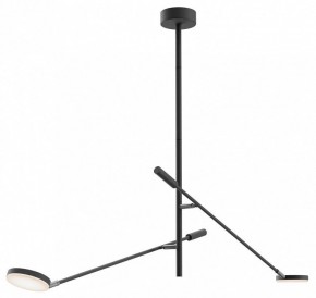 Светильник на штанге Maytoni Fad MOD070CL-L15B3K1 в Нытве - nytva.ok-mebel.com | фото