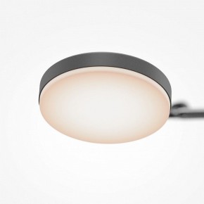 Светильник на штанге Maytoni Fad MOD070CL-L15B3K1 в Нытве - nytva.ok-mebel.com | фото 7
