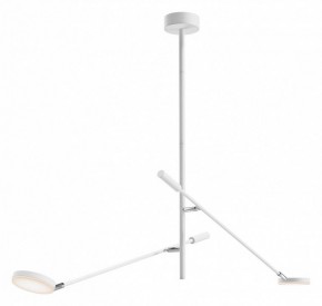 Светильник на штанге Maytoni Fad MOD070CL-L15W3K1 в Нытве - nytva.ok-mebel.com | фото