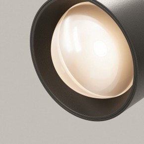 Светильник на штанге Maytoni Lens TR217-2-15W3K-B в Нытве - nytva.ok-mebel.com | фото 12