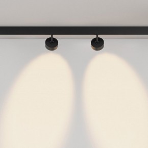 Светильник на штанге Maytoni Lens TR217-2-15W3K-B в Нытве - nytva.ok-mebel.com | фото 6