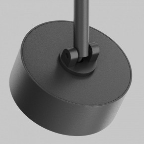 Светильник на штанге Maytoni Lens TR217-2-15W4K-B в Нытве - nytva.ok-mebel.com | фото 9