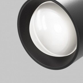 Светильник на штанге Maytoni Lens TR217-4-15WTW-DD-B в Нытве - nytva.ok-mebel.com | фото 12