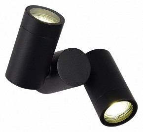 Светильник на штанге ST-Luce Ecollo SL9011.402.02 в Нытве - nytva.ok-mebel.com | фото 2