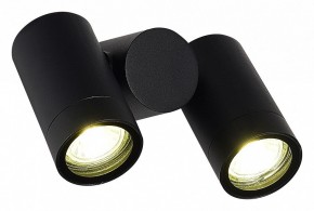 Светильник на штанге ST-Luce Ecollo SL9011.402.02 в Нытве - nytva.ok-mebel.com | фото 3