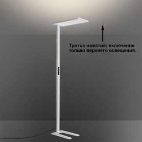 Торшер Novotech STUDI 359545 в Нытве - nytva.ok-mebel.com | фото 6