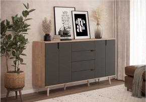 Тумба многофункциональная (арт. 6-56002) в Нытве - nytva.ok-mebel.com | фото