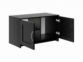 Тумба СИРИУС двухдверная низкая, цвет Дуб Венге в Нытве - nytva.ok-mebel.com | фото 3
