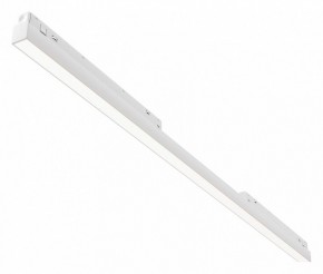 Встраиваемый светильник Maytoni Basis TR030-4-30WTW-DD2-W в Нытве - nytva.ok-mebel.com | фото