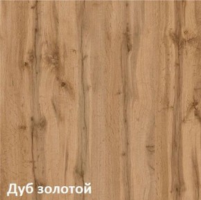 Вуди Шкаф для одежды 13.138 в Нытве - nytva.ok-mebel.com | фото 4