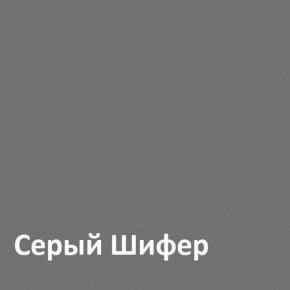 Юнона Шкаф торцевой 13.221 в Нытве - nytva.ok-mebel.com | фото 2